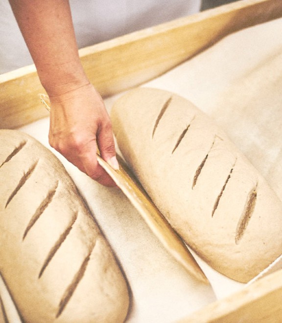 team brot slider fotos 2